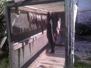 IMG_20121002_102628.jpg