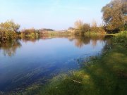 IMAG0692.jpg