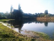 IMAG0693.jpg