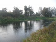 SAM_0016.JPG