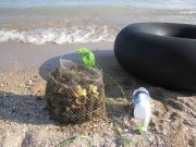 IMG_0496.jpg