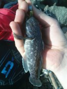 DSC01220.JPG