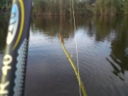 DSC00762.JPG
