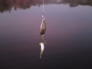 DSC00755.JPG