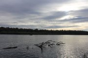 IMG_1668.jpg