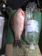IMG_20121006_185723.jpg