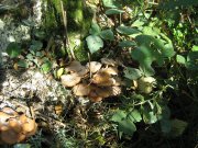 IMG_1057.JPG