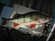 IMG_0722.JPG