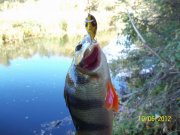 100_2392_thumb.jpg