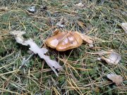 09102012621.jpg