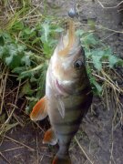DSC03475.JPG