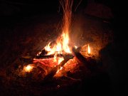 DSCN2454.jpg