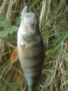 DSC03490.JPG