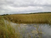 051020122839-1.jpg