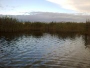 051020122836-1.jpg