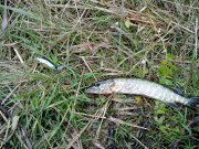 051020122840-1.jpg