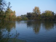 100_4061.JPG