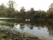 131020121151.jpg
