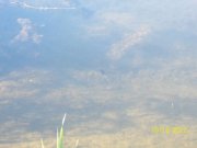 100_2419_thumb.jpg