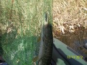 100_2426_thumb.jpg