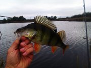 IMAG0718.jpg