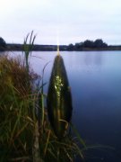 IMAG0720.jpg