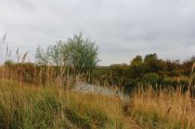 IMG_1965.JPG