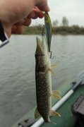 IMG_1970.JPG