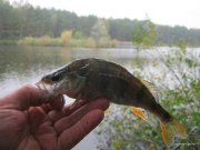 1-IMG_0019.JPG