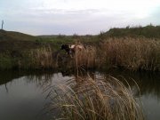 IMG_20121014_133903.jpg