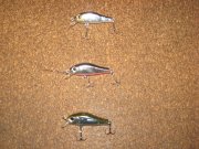 IMG_1318.JPG