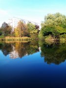 IMAG0725.jpg