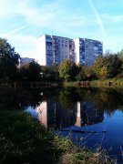 IMAG0727.jpg