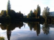IMAG0728.jpg