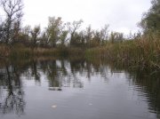 PA180584.JPG
