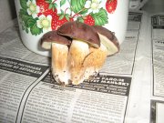 IMG_1079.JPG