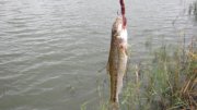 IMG_1202.jpg