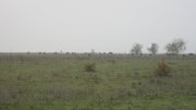 IMG_1206.jpg