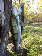 20121020_132315-.jpg