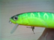 21102012442.jpg