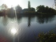 DSC05609.JPG