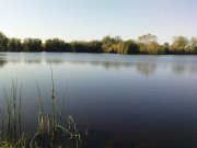 DSC05615.JPG
