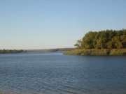 DSC016954.JPG
