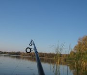 IMG_3036.JPG