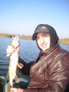 IMG_0287_resize.JPG