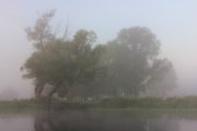 IMG_1422.JPG