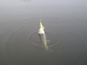 PA222475 [].JPG