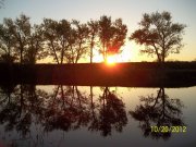 100_2442_thumb.jpg