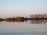 100_2445_thumb.jpg