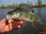 1-IMG_0037.JPG
